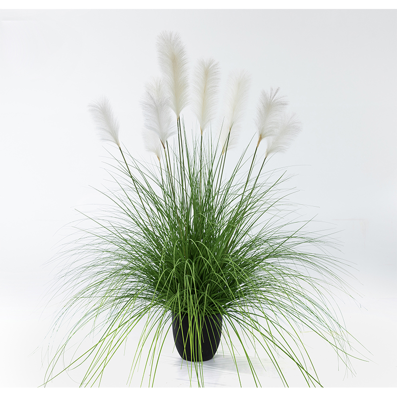 oh1092007 และ oh109200018