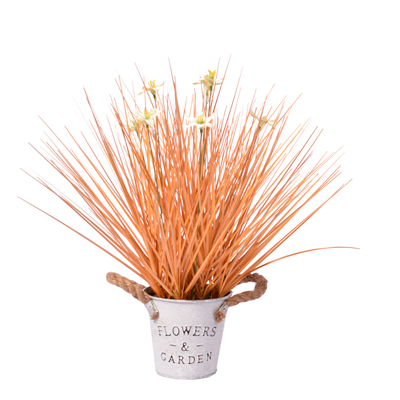 oh10920048 ไม่