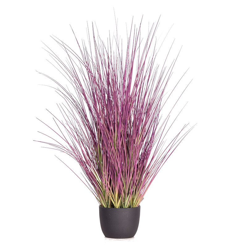 oh10920042 ไม่