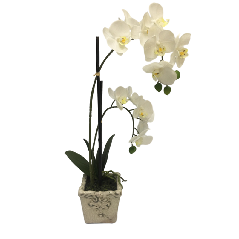 oh00220020 ไม่