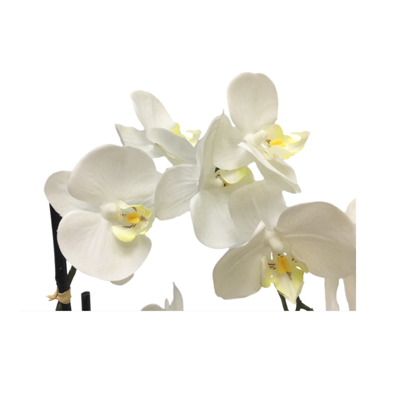 oh00220020 ไม่