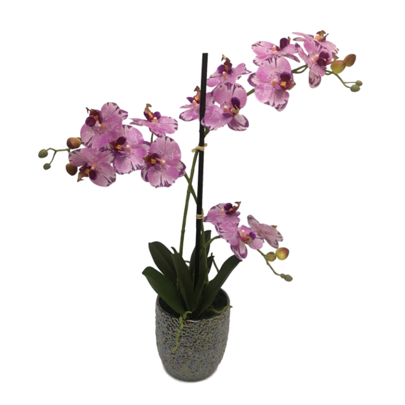 oh00220029 หมายเลข