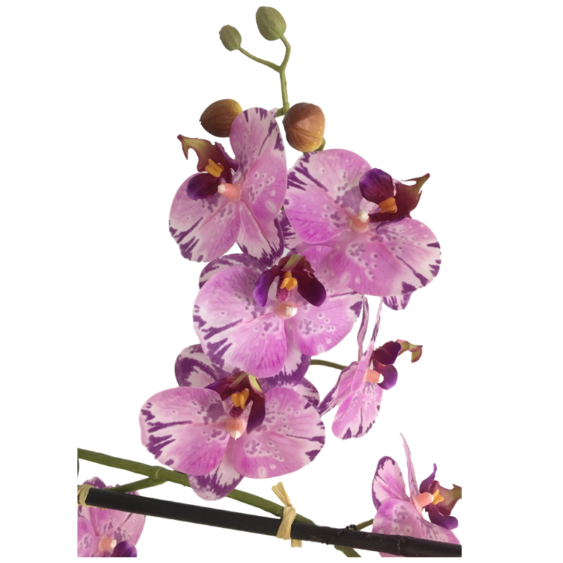 oh00220029 หมายเลข