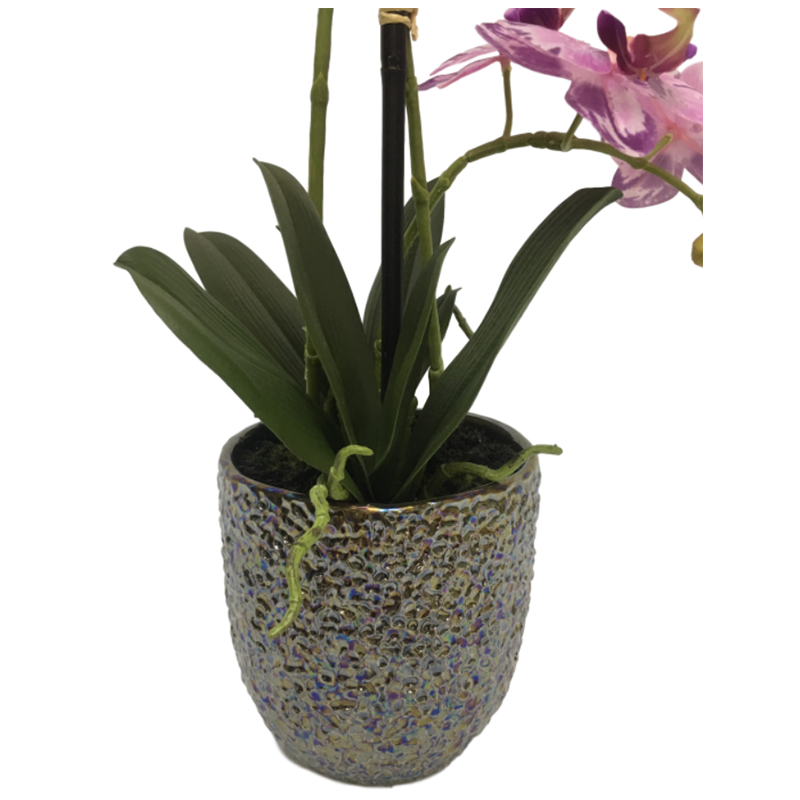 oh00220029 หมายเลข