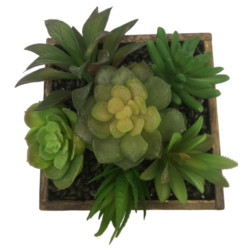 หมายเลข oh0242001