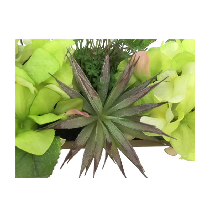 oh006200013 ไม่