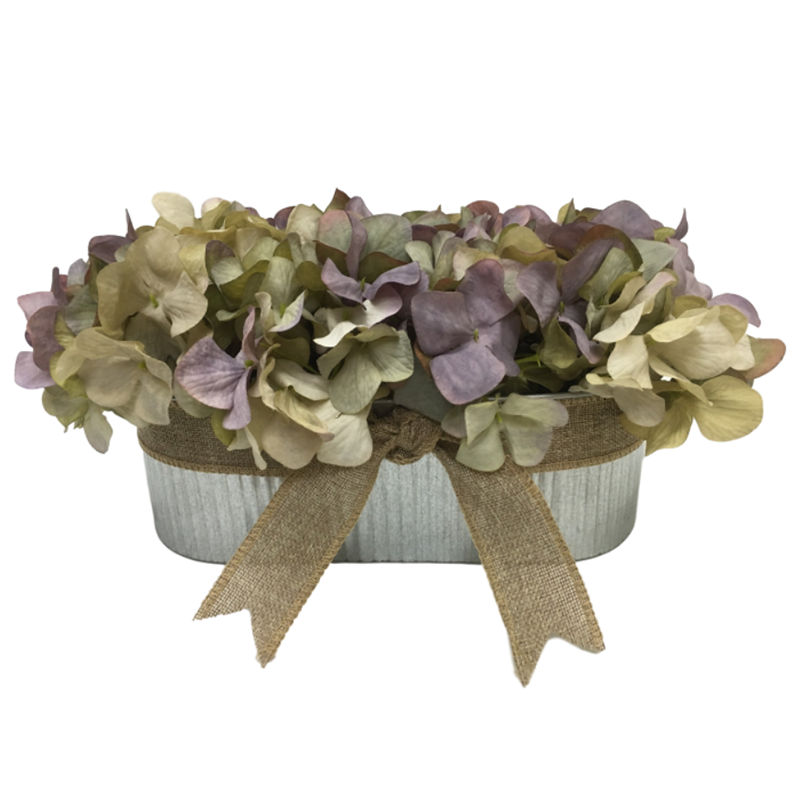 ประเภท oh00620012