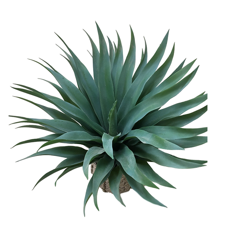 ประเภท oh108200092