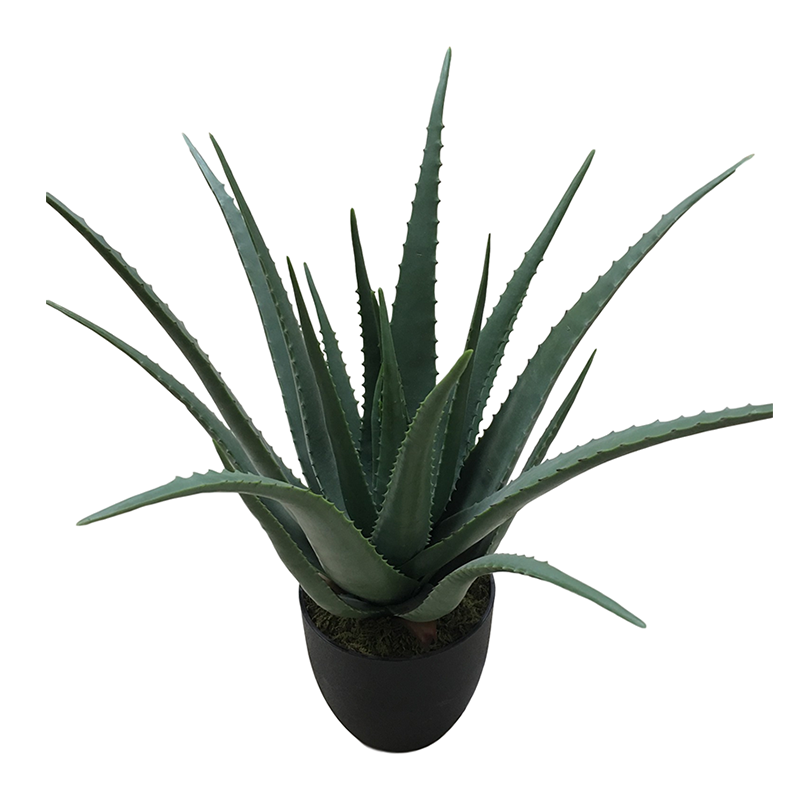 oh10820093 ไม่