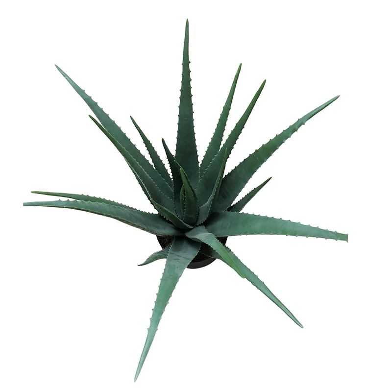 oh10820093 ไม่