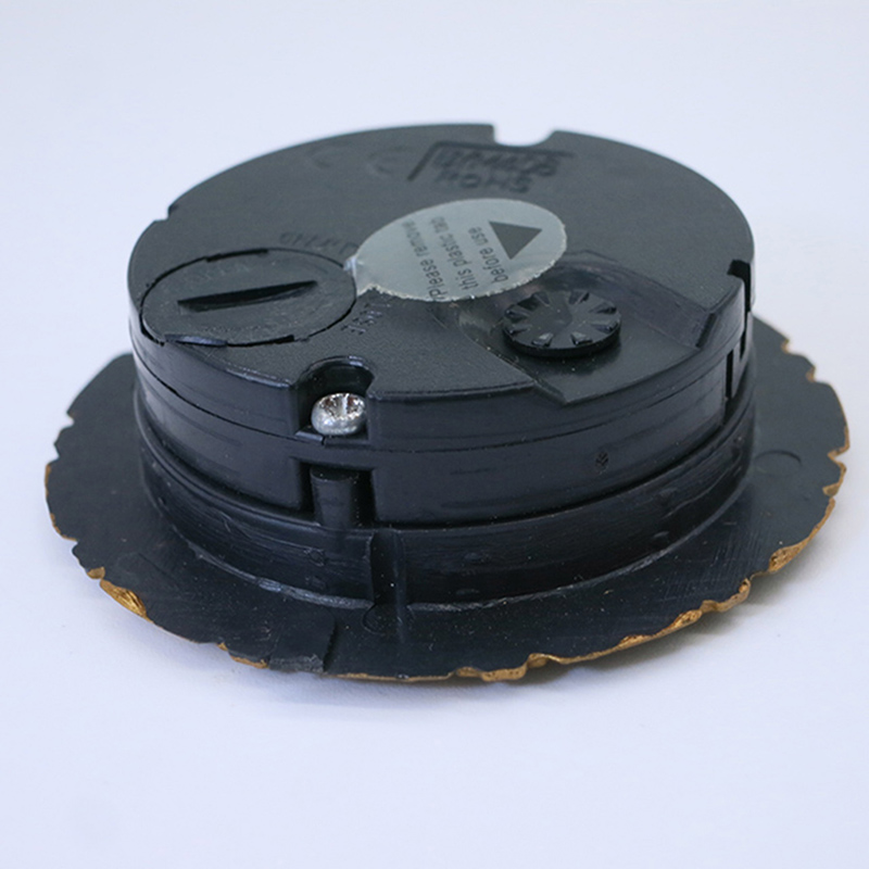 แหวนเข็มพลัมโบราณ