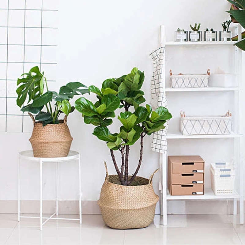 ยืนพืชสานหญ้าทะเลทอสำหรับการจัดเก็บแขวนตะกร้าหญ้าทะเล