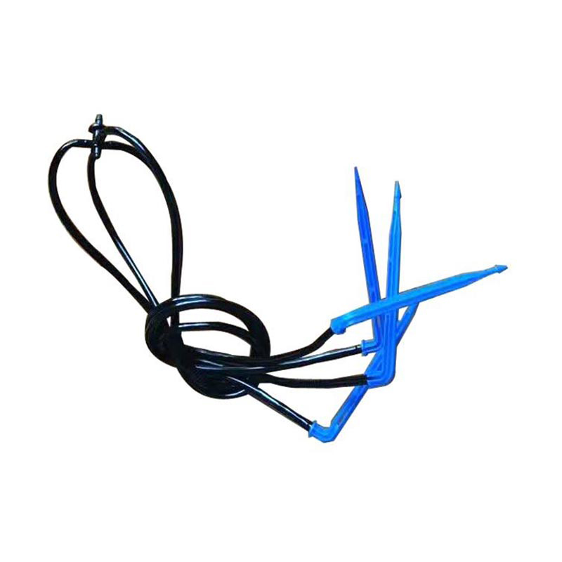 สี่ลูกศร