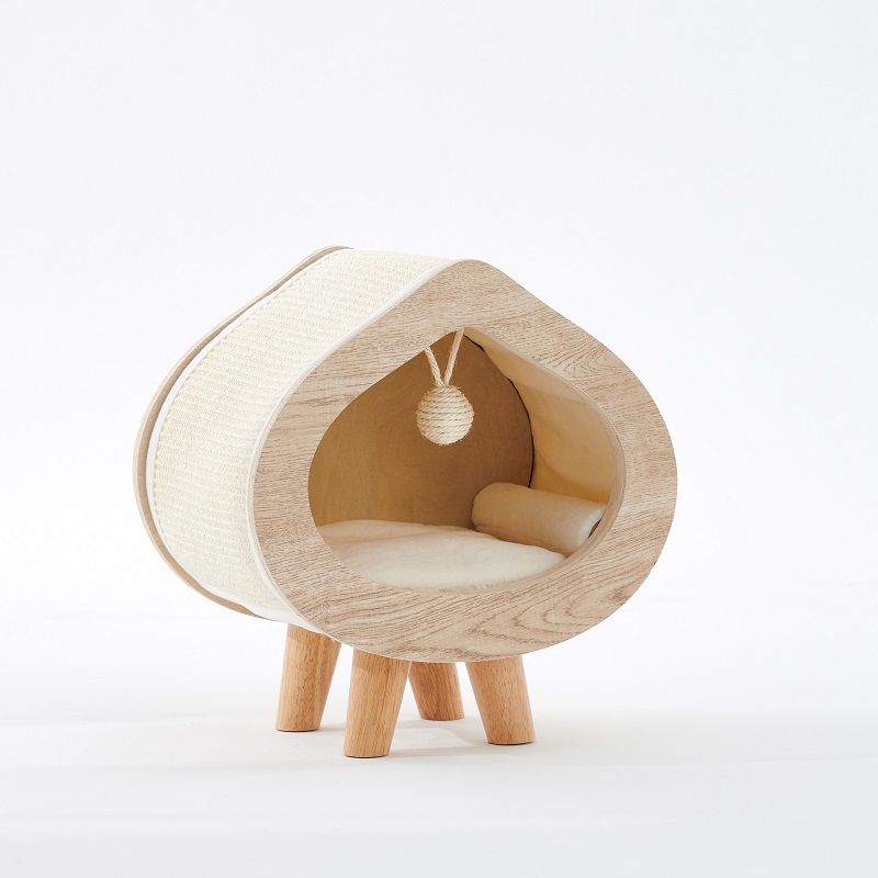 แมวต้นไม้