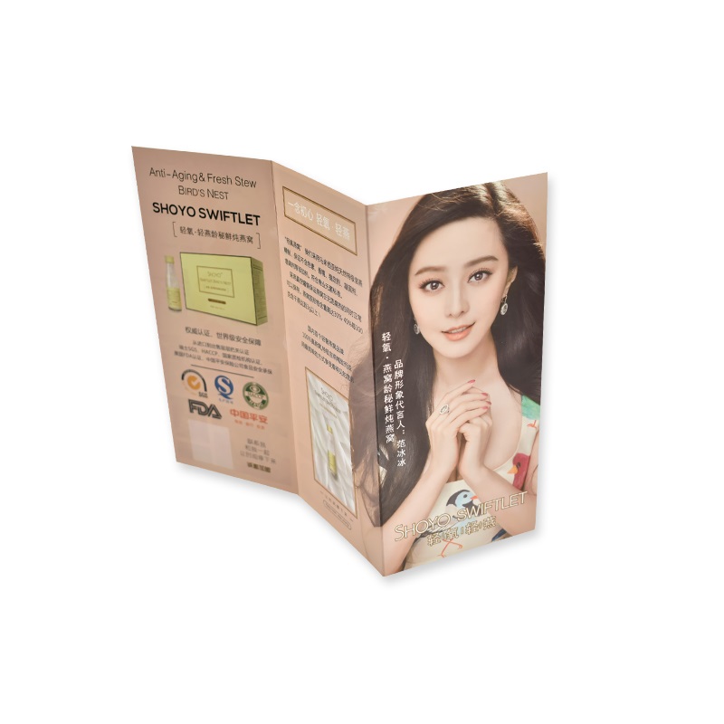 ใบปลิวสามพับ (สากล)