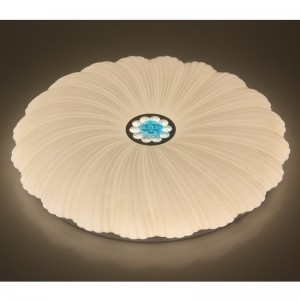 CX202 โคมไฟเพดาน