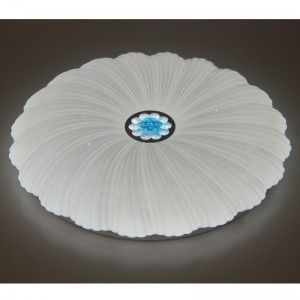 CX202 โคมไฟเพดาน