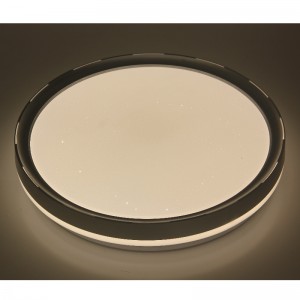 CX236 โคมไฟเพดาน