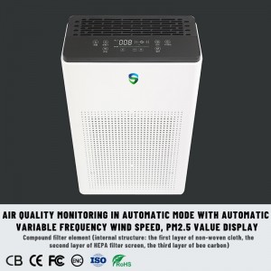 เครื่องฟอกอากาศคู่