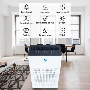 เครื่องฟอกอากาศคู่