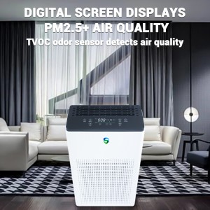 เครื่องฟอกอากาศคู่