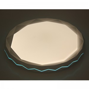 CX313 โคมไฟเพดาน