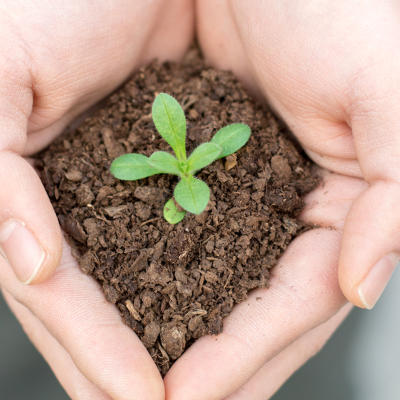 product3 ที่ยอดเยี่ยม 3