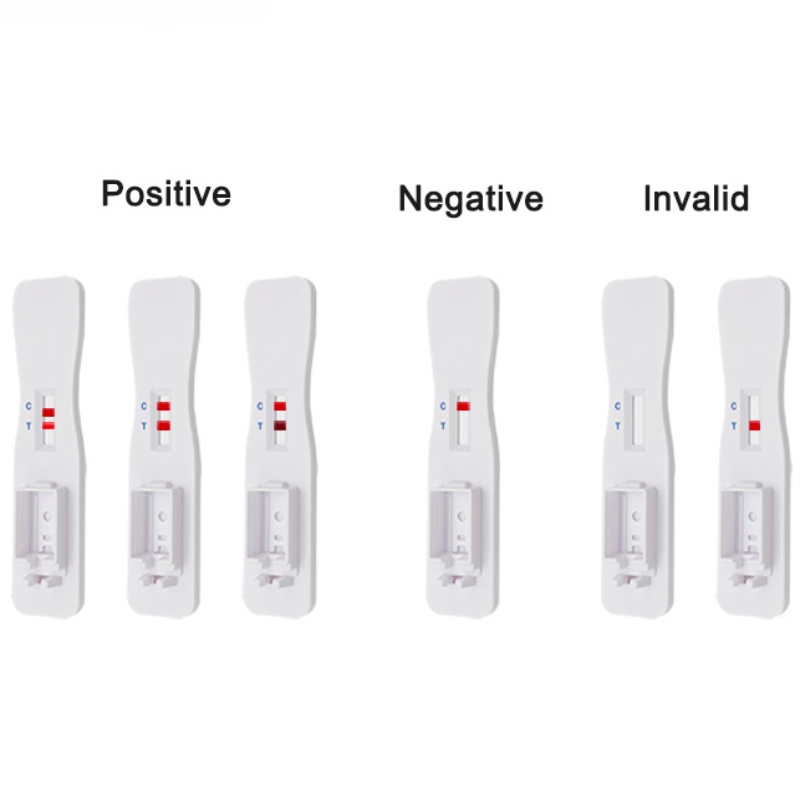 V-CHEK ™ 2019-nCoV Ag Rapid Test Kit