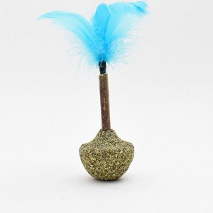 แมวมิ้นท์อมยิ้ม