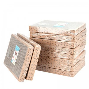 Fishbone Square Cat คว้าคณะกรรมการ