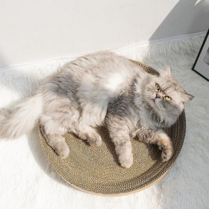 เชอร์รี่แมวคว้าชาม