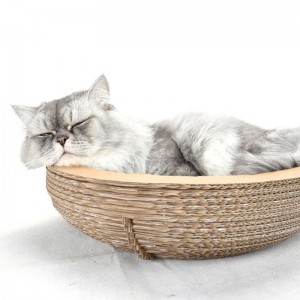 กระดาษแมวชามรอยขีดข่วนบอร์ด