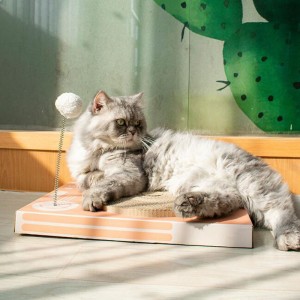 ชุดกระดานรอยขีดข่วนแมว