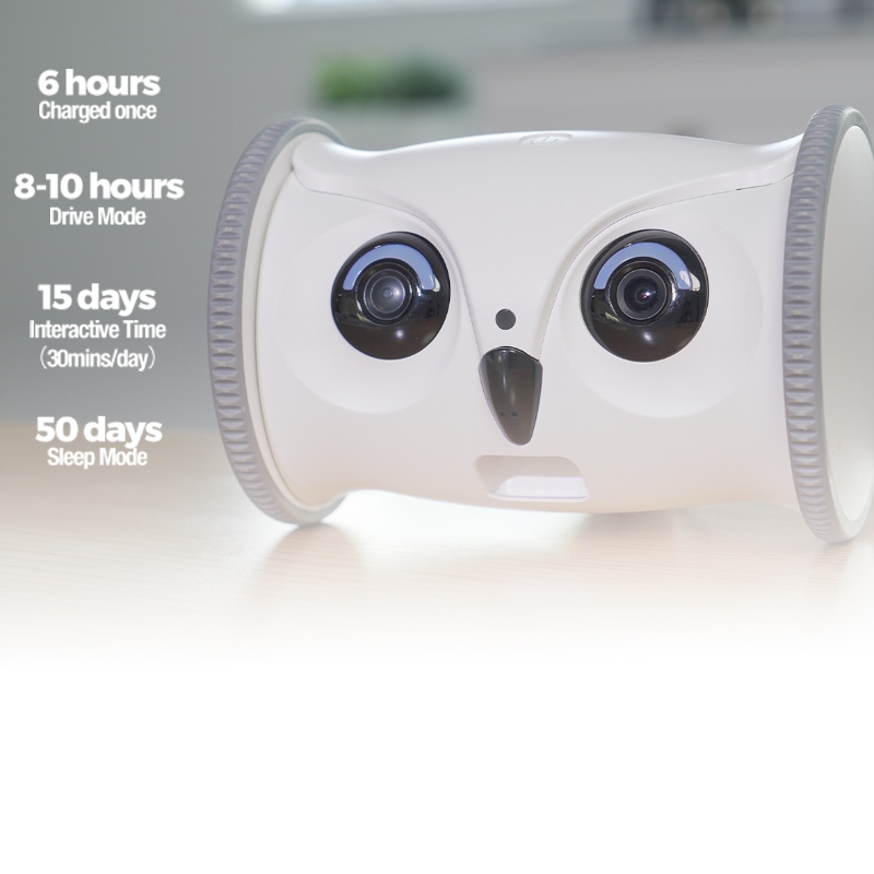 Smart Owl Robot Sitter