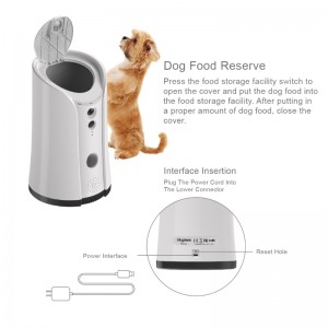 ตู้เก็บกล้องสุนัข