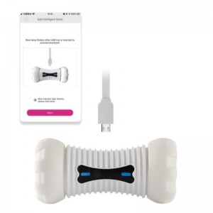 กระดูกโกรธ