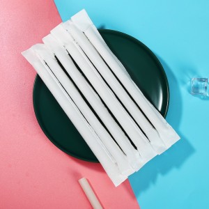 โรงงานขายส่งปลาพลาสติกฟางด้วยราคาที่แข่งขันเป็นมิตรกับสิ่งแวดล้อม