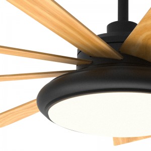 Fan Light FL Z BS9631 52