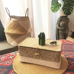 กล่องทอสาหร่ายที่มีที่เก็บข้อมูลครอบคลุม