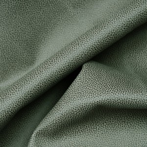 ชุดเทคโนโลยีหนังเทียม BNT1933