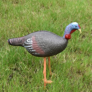 ELONG กลางแจ้ง 41T3D2 ไก่เป้าหมายการยิงธนูยิงธนูโดยใช้เป้าหมายที่เหมือนจริง