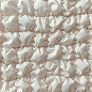 รีไซเคิล Jianmian Embroid