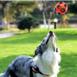 ของเล่นสุนัขลอย