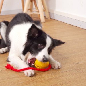 ยางรั่วของเล่นสุนัขขนมขบเคี้ยว