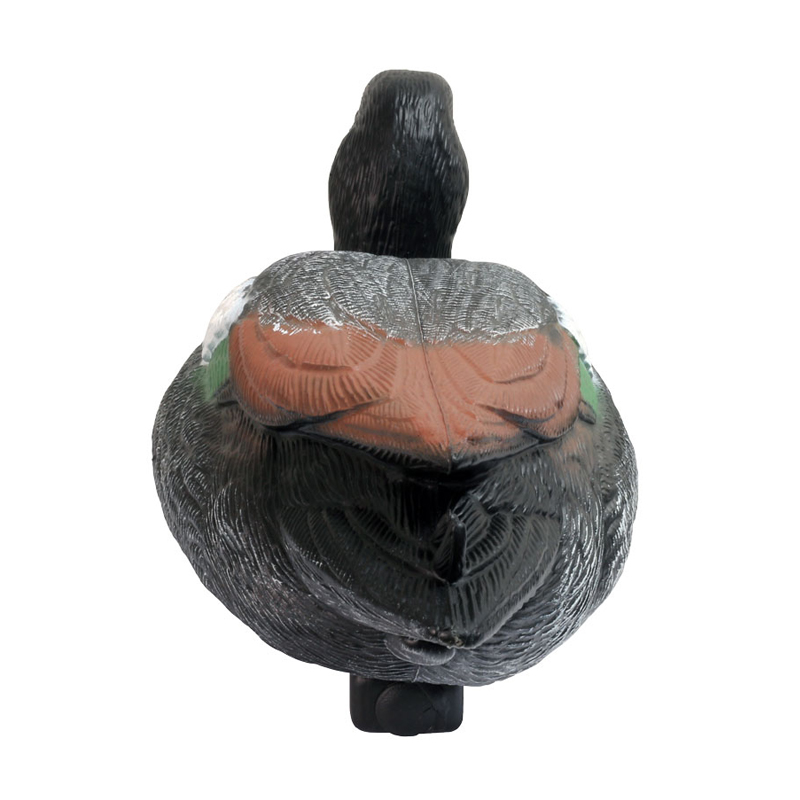 ขนาดชีวิตที่สมจริง Mottled Mallard Duck Ducks