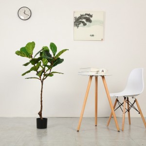 โรงงานอุปทานโดยตรงของ Ficus ประดิษฐ์ด้วยหม้อสำหรับการขาย