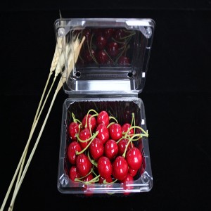 บรรจุภัณฑ์อาหารหอย