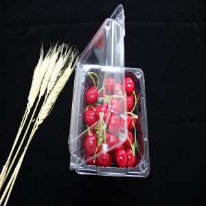 บรรจุภัณฑ์อาหารหอย