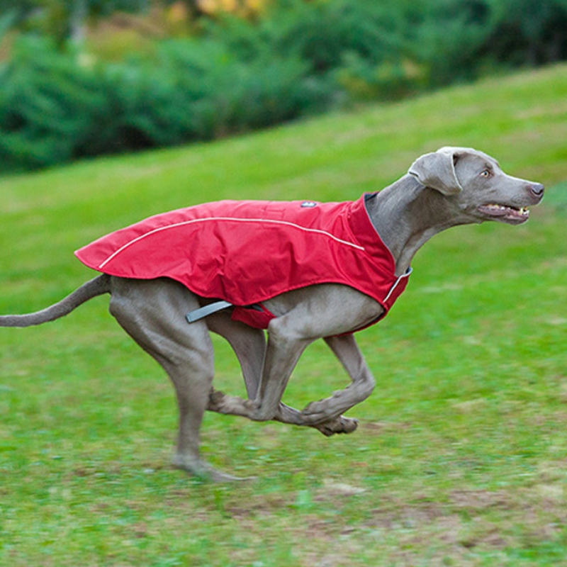 สไตล์คลาสสิกสะท้อนแสงสุนัขเสื้อกันน้ำปรับแจ็คเก็ตสุนัขฤดูหนาวที่มีน้ำหนักเบาย้อนกลับได้