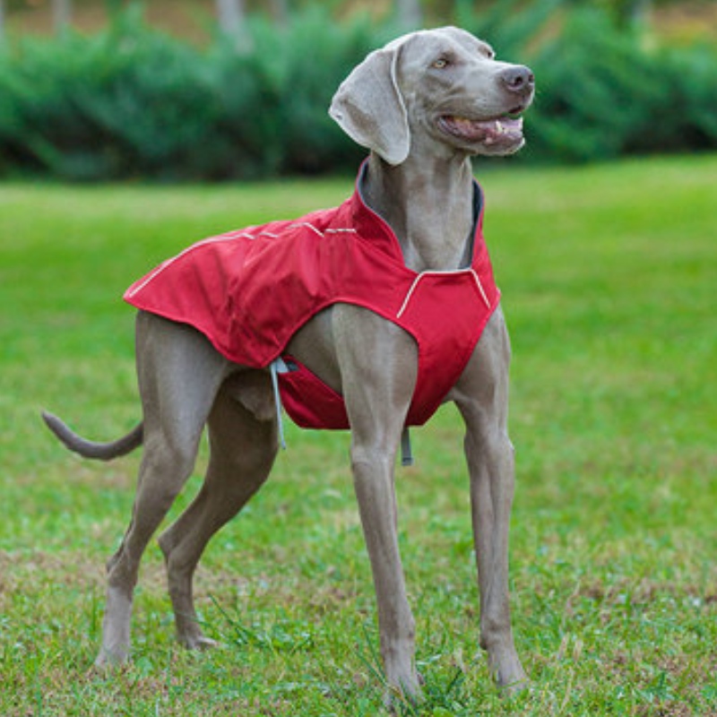 สไตล์คลาสสิกสะท้อนแสงสุนัขเสื้อกันน้ำปรับแจ็คเก็ตสุนัขฤดูหนาวที่มีน้ำหนักเบาย้อนกลับได้